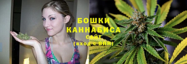 мет Бородино