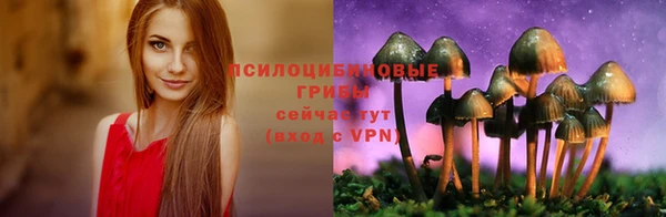 молекула духа Волосово
