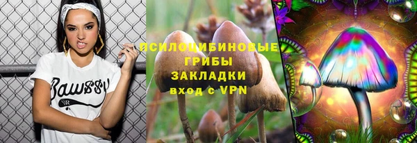 мет Бородино
