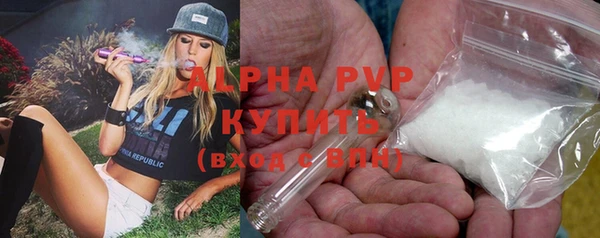 молекула духа Волосово