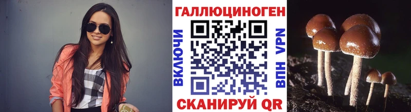 ссылка на мегу как войти  Пестово  Псилоцибиновые грибы прущие грибы  что такое наркотик 